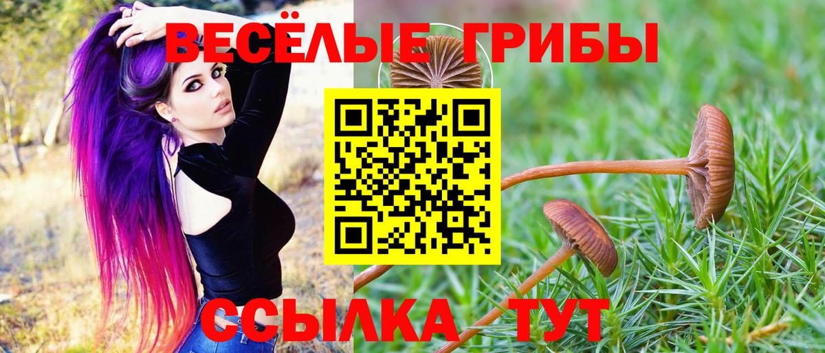 Псилоцибиновые грибы Magic Shrooms  Вход с VPN  Тверь 
