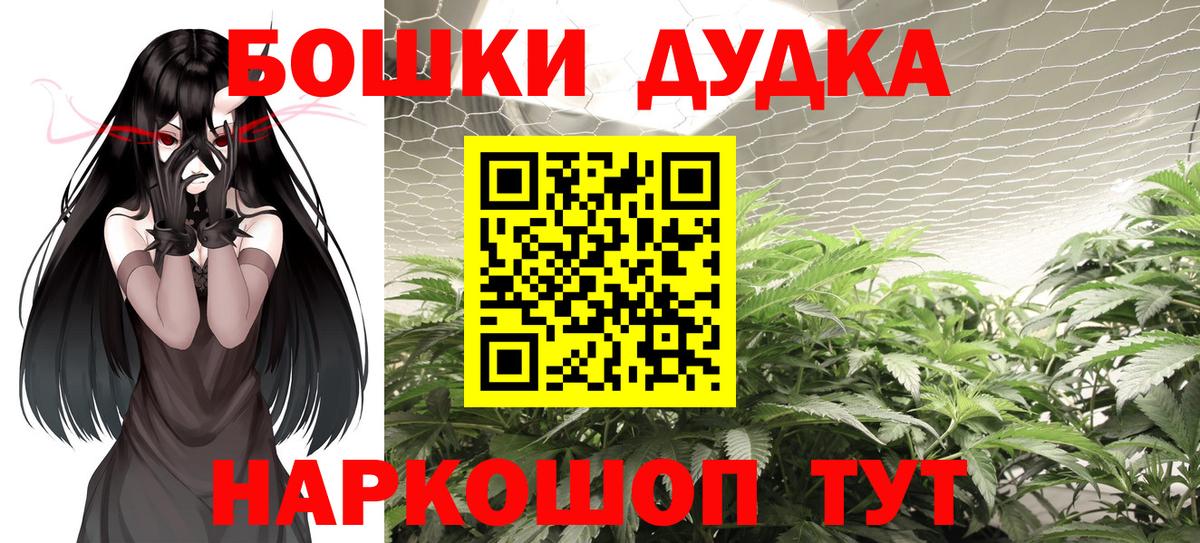 Бошки Шишки MAZAR Тверь